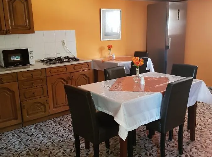 Vincze 3*